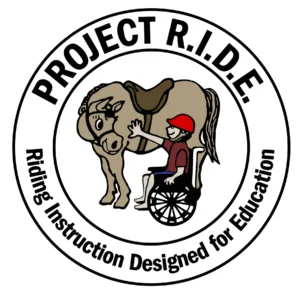 A brown cow sitting in front of a person with a wheelchair.