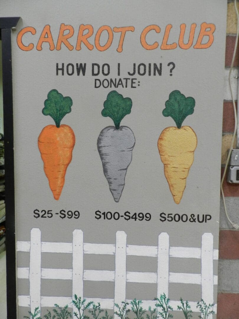 carrot-club-advertisement-scaled