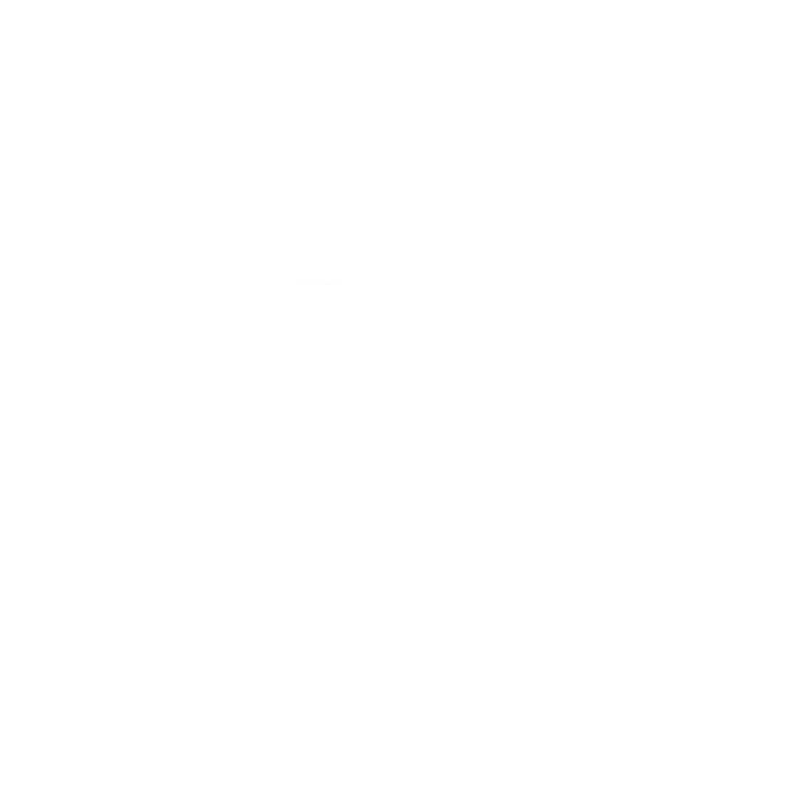 Project R.I.D.E.